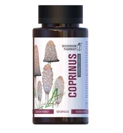 Coprinus 120cps